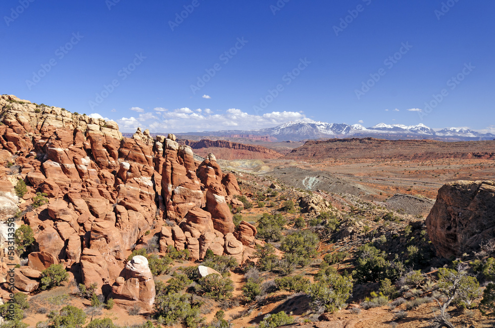 Fototapeta premium Southwest Desert Panorama