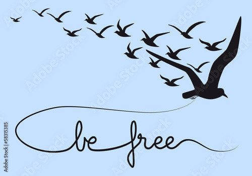be free text with flying birds, vector