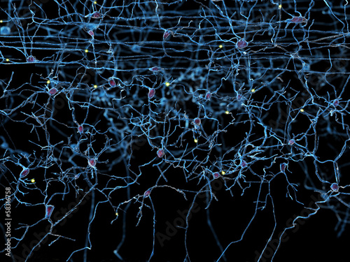 Neuronennetzwerk photo