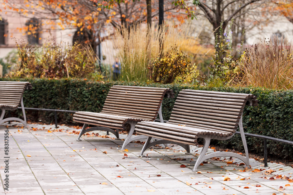 benches in autumn park