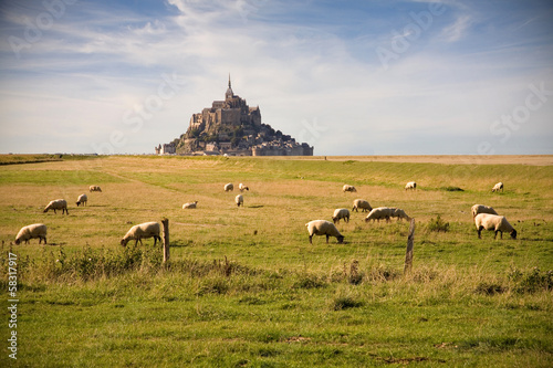 Photo Le Mont-Saint-Michel and sheeps