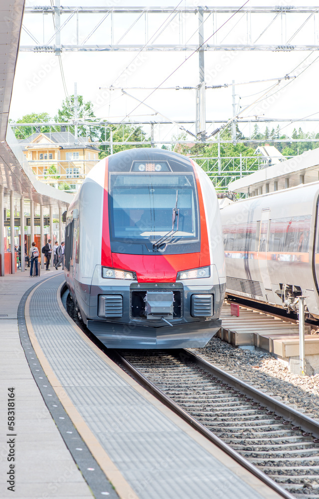 Naklejka premium Train in Norway