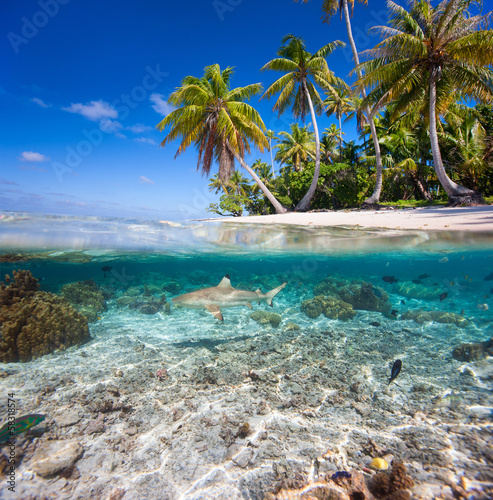 tropikalna-wyspa-pod-i-nad-woda
