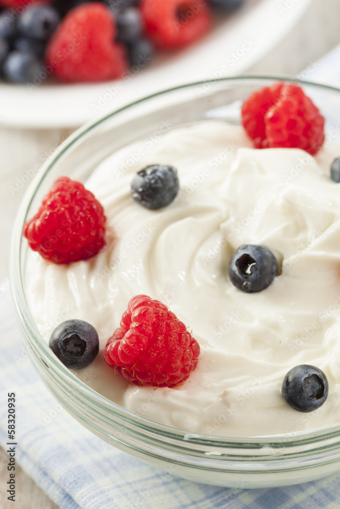 Fresh Organic Healthy Yogurt Fresh Organic Healthy Yogurt