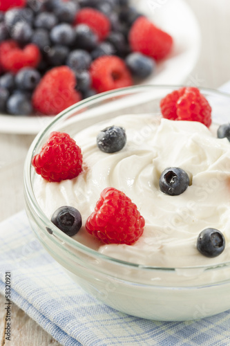 Fresh Organic Healthy Yogurt