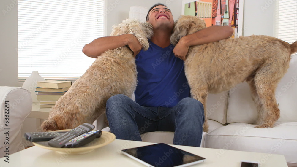 Mexican man playing with pet dogs