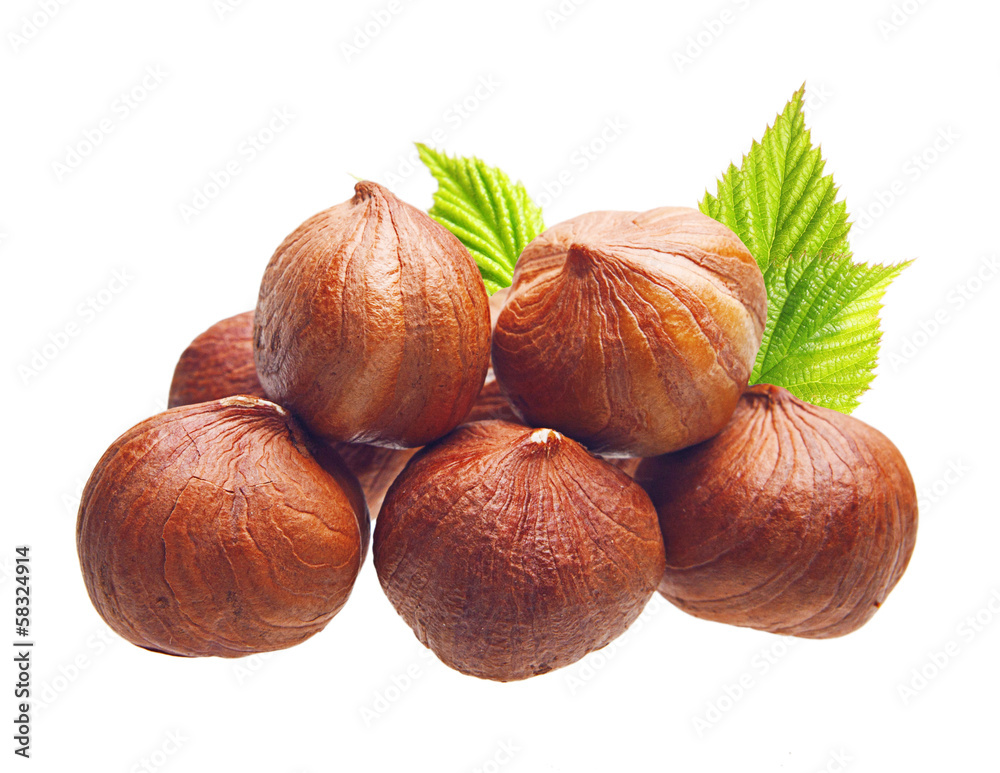 Forest nuts hazelnuts isolated on white background. Forest nuts hazelnuts isolated on white background.
