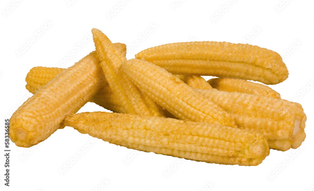 Close-up of corn cobs