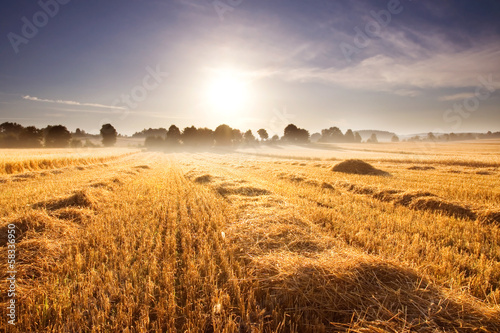 stubble field at sunrise