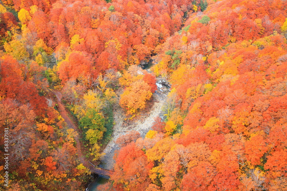 Autumn colours of Jougakura valley, Aomori, Japan Autumn colours of Jougakura valley, Aomori, Japan