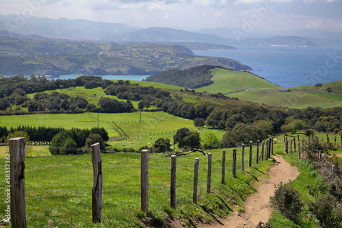 Green fields on Biscay coast near Gorliz, Basque Country, Spain