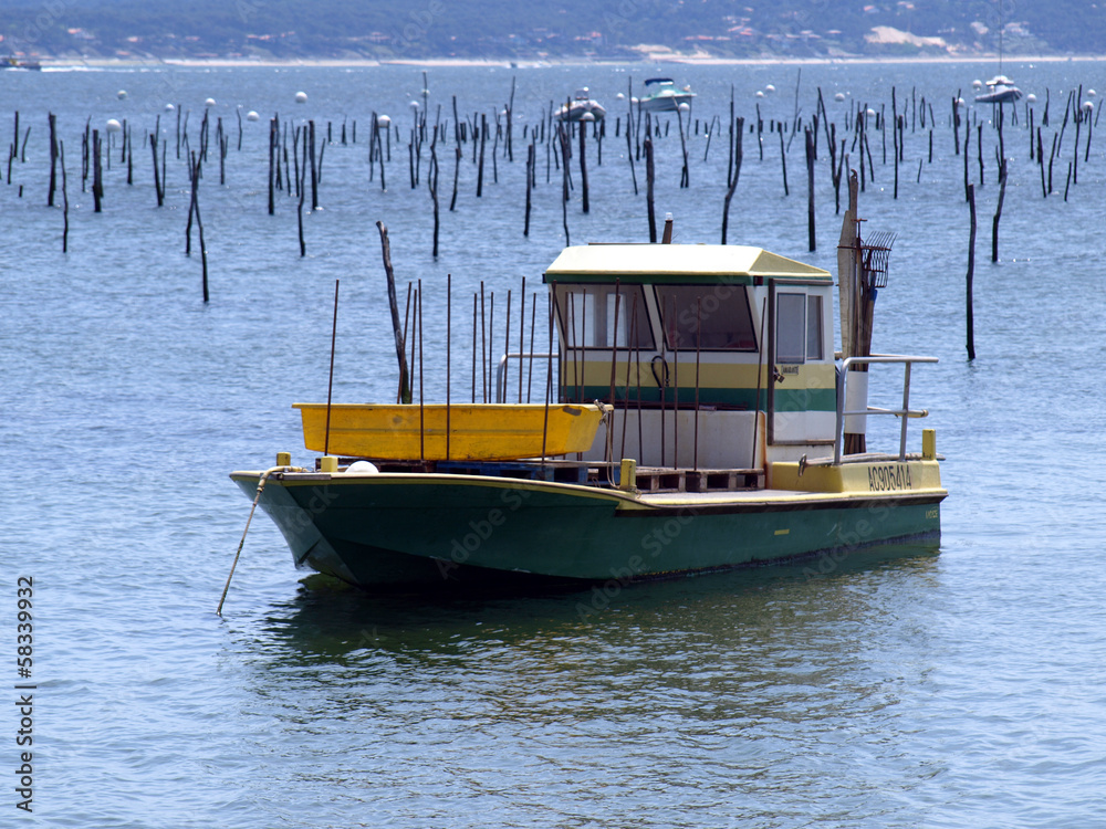 Fototapeta premium Parc ostréicole