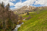 View to foothills of Caucasus mountains near Arkhyz, Karachay-Ch
