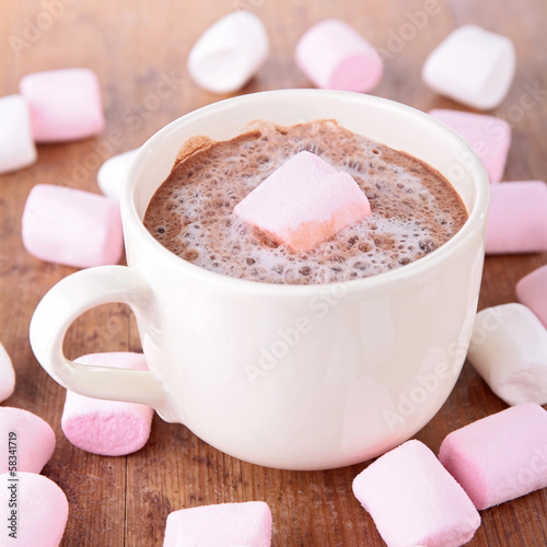 hot chocolate with marshmallows