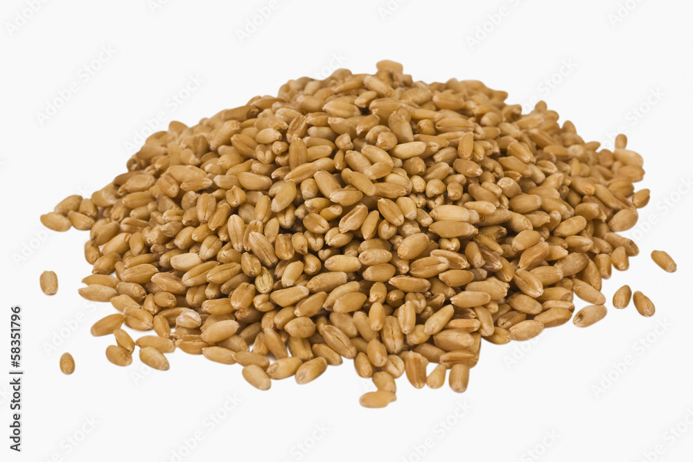 Close-up of wheat kernels Close-up of wheat kernels