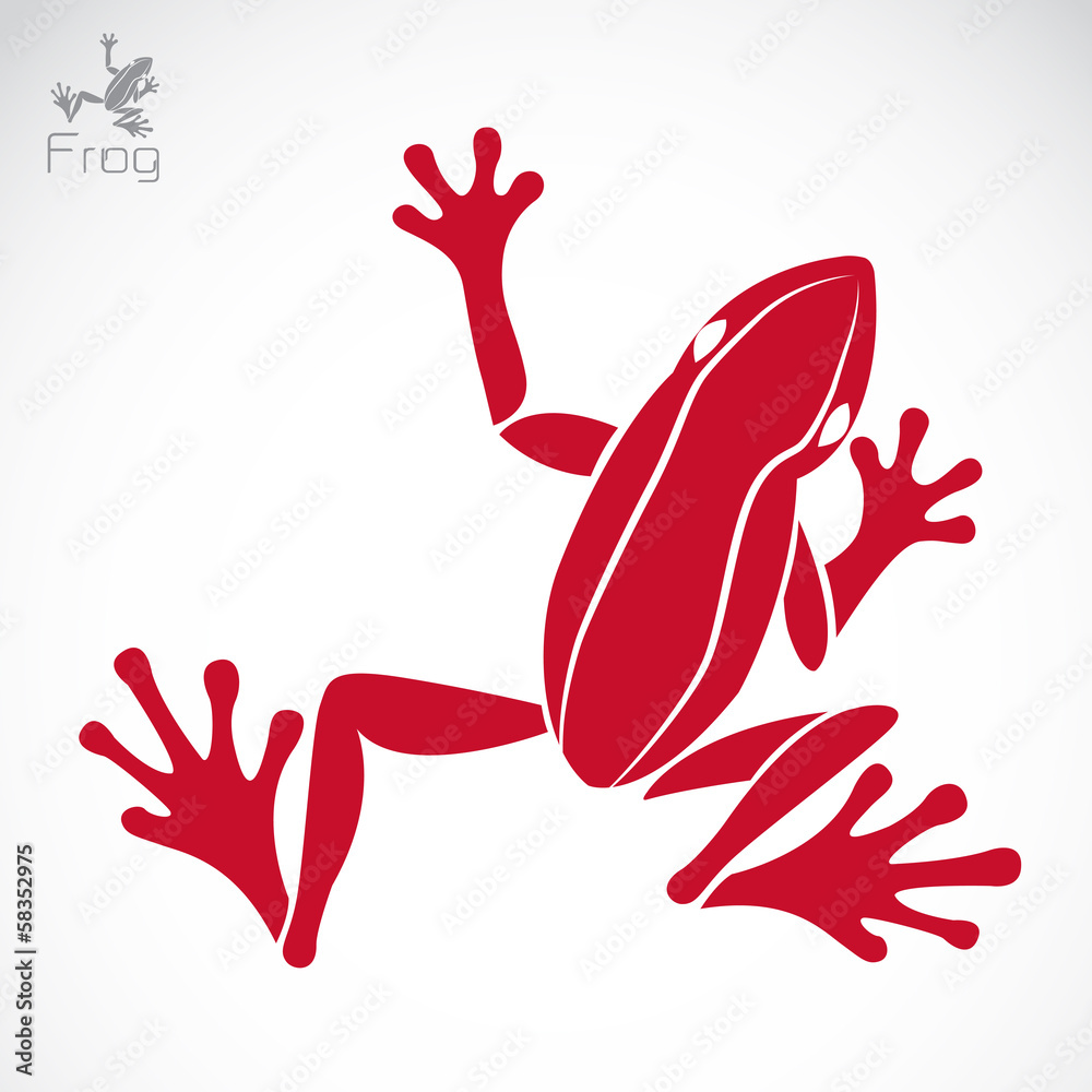 Obraz premium Vector image of an frog