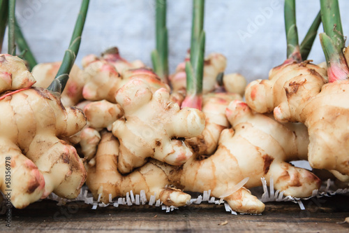 Fresh gingers on the wood table