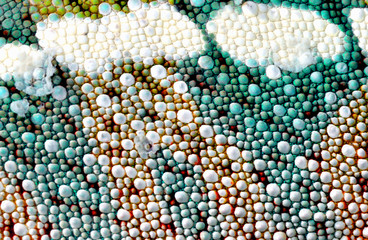 Handdoek met foto Kameleon Huidpatroon van kameleon in macro  © Taboga