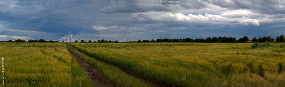 panorama of rural field