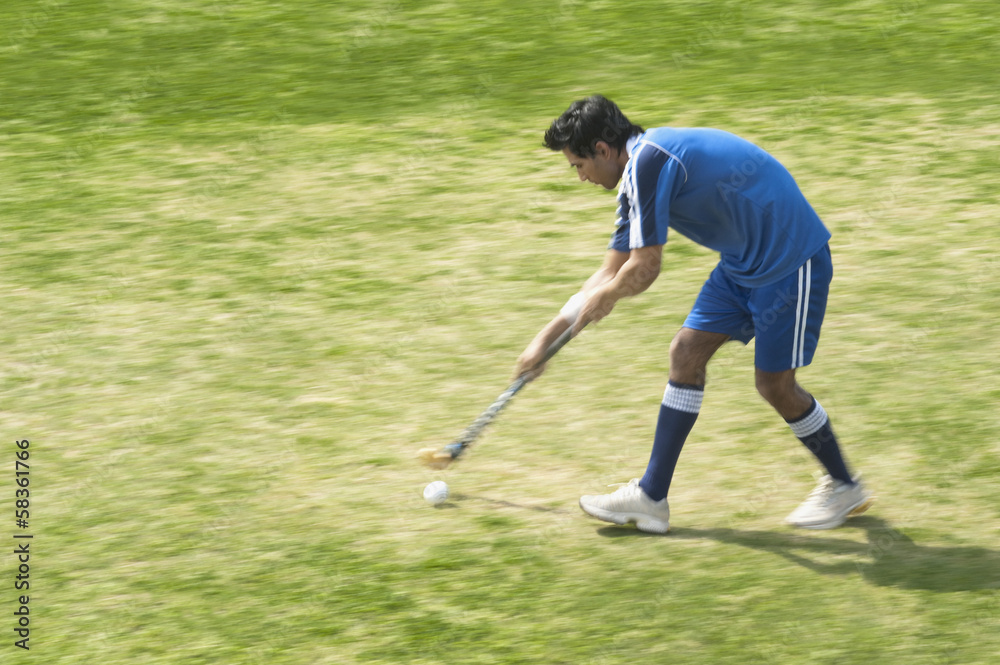 Obraz premium Hockey player in a field