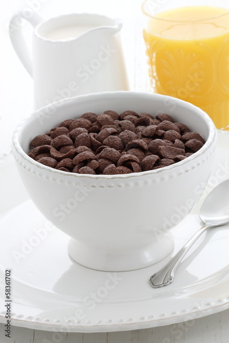 Delicious cocoa cereal photo