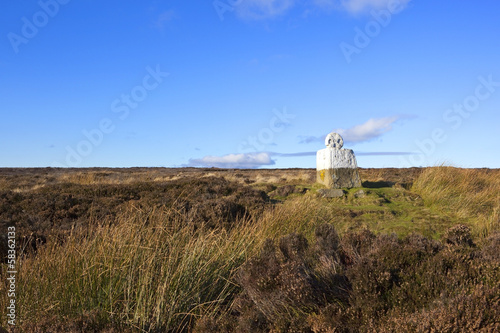 moorland standing stone