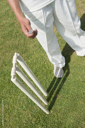Quadro su tela High angle view of a cricket player tossing a coin
