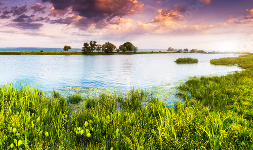 Fototapeta Naklejka Na Ścianę i Meble -  river