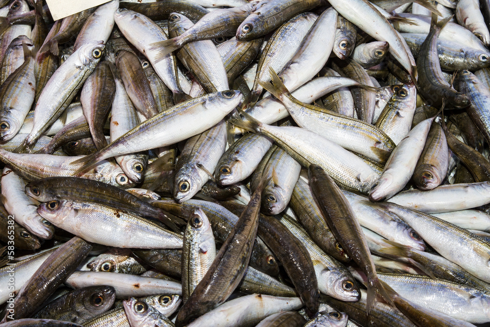 Fresh fish catch on sale at local fish market Fresh fish catch on sale at local fish market