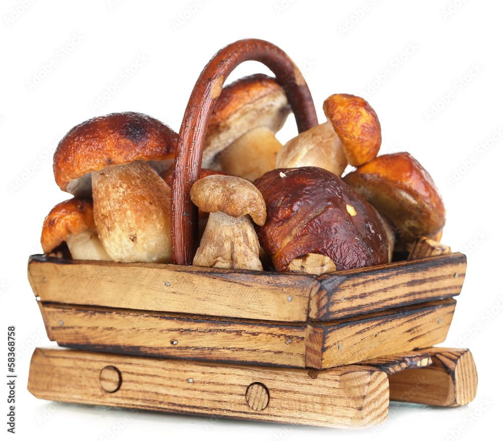 Fresh mushrooms in basket isolated on white Fresh mushrooms in basket isolated on white