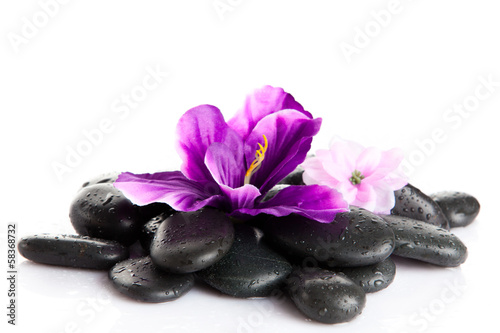 Zen pebbles. background of a spa with stones