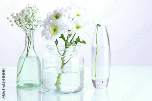 Plants in various glass containers isolated on white