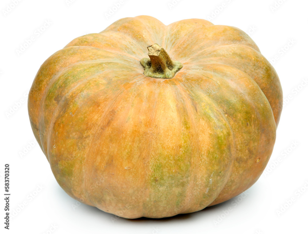 Pumpkin isolated on white Pumpkin isolated on white