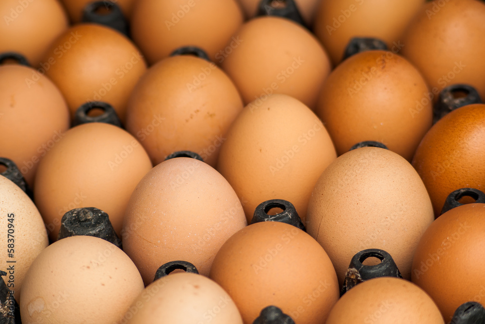 Chicken brown egg closeup Chicken brown egg closeup