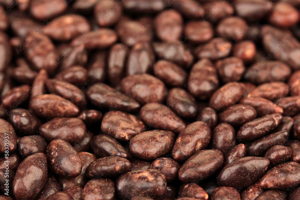 Naklejka premium Sunflower grains in chocolate, close up