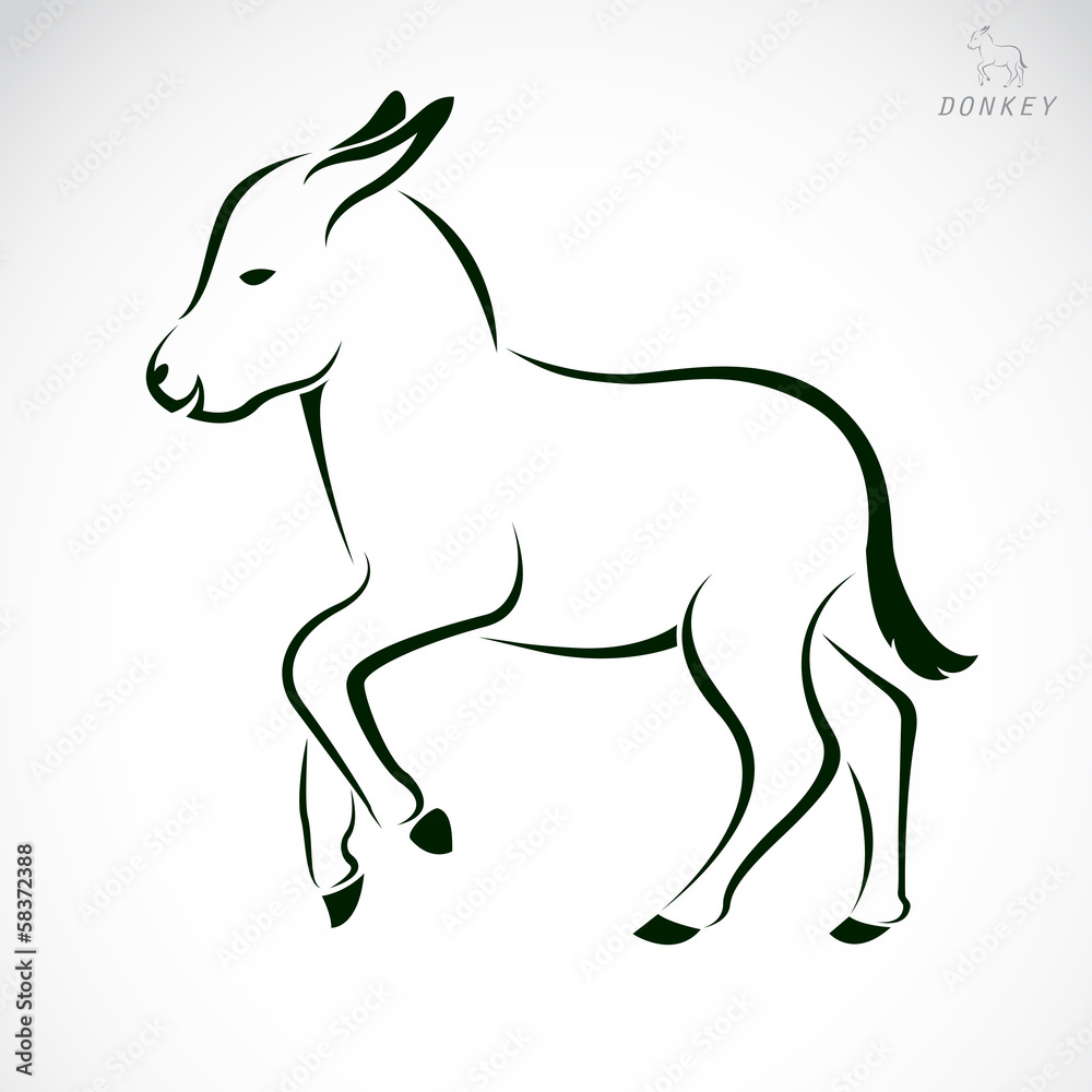 Vector image of an donkey