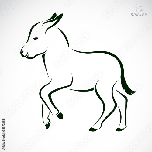 Vector image of an donkey