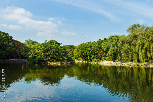 Wetland