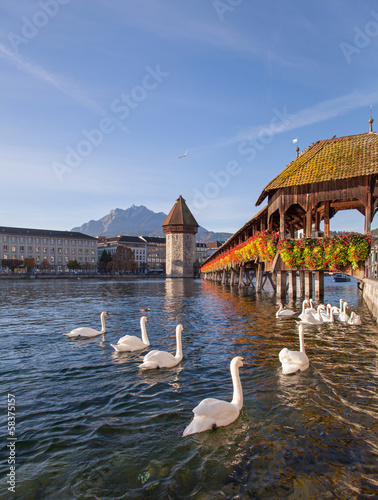 Lucerne, early morning