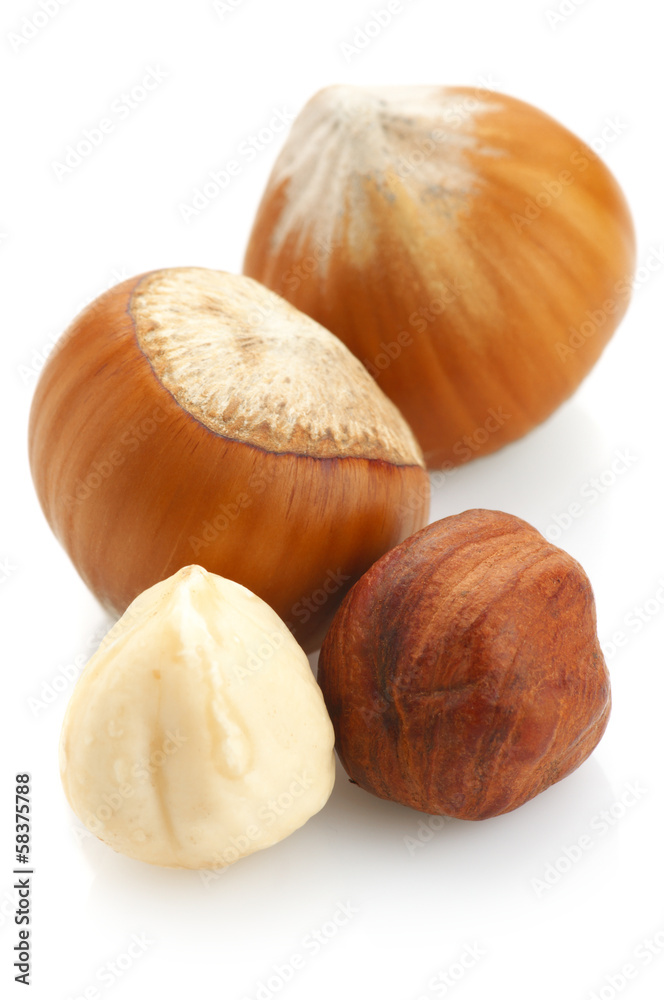 Hazelnuts on white