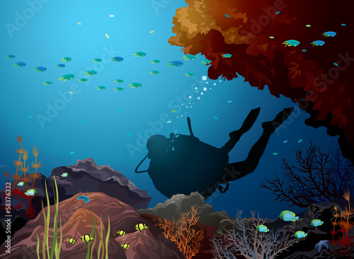 Coral reef and diver.