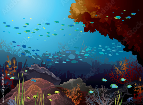 Coral reef and underwater creatures.