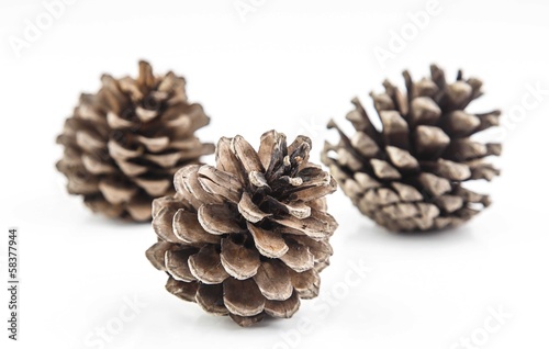 Brown cones on white background
