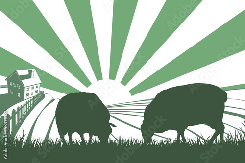 Sheep Farm Sunrise Landscape