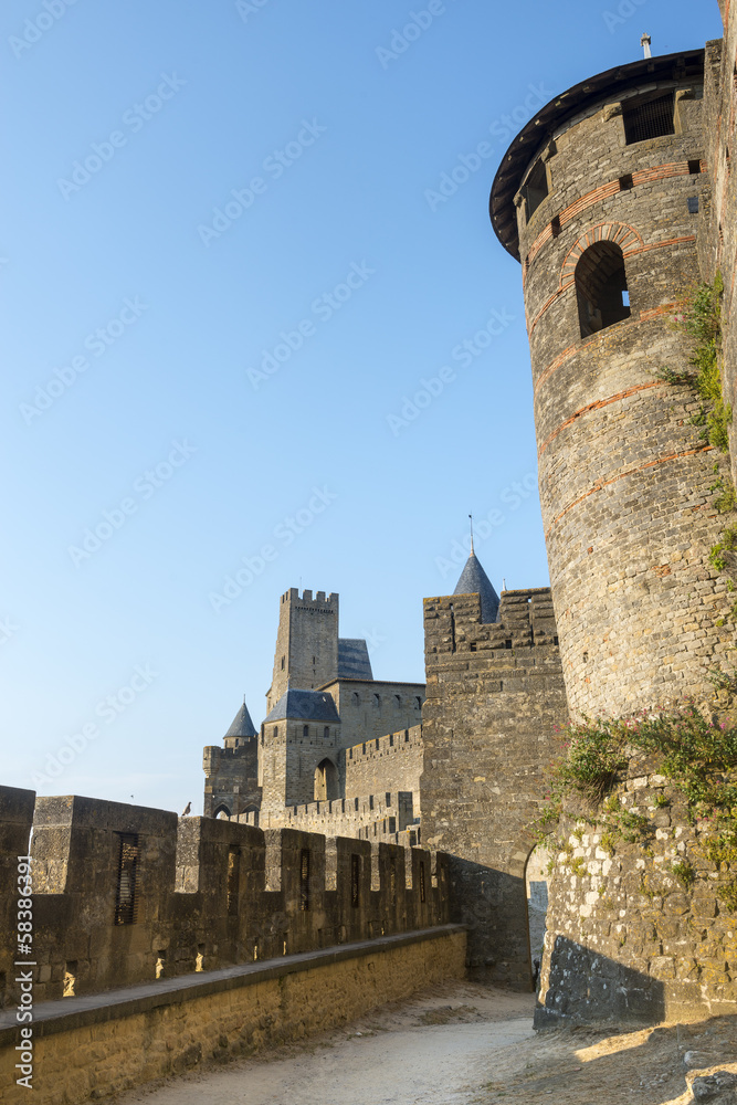 Obraz premium Carcassonne (France)