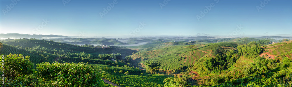 Fototapeta premium Tea plantations Puer