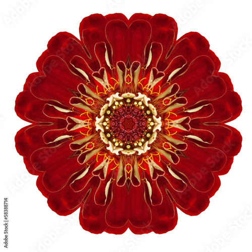 Purple Kaleidoscopic Dahlia Flower Mandala Isolated on White