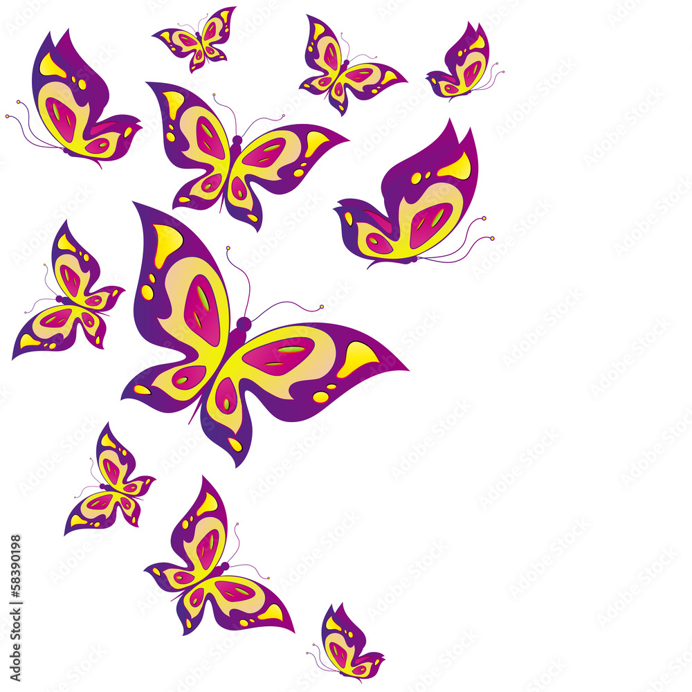 butterflies design butterflies design