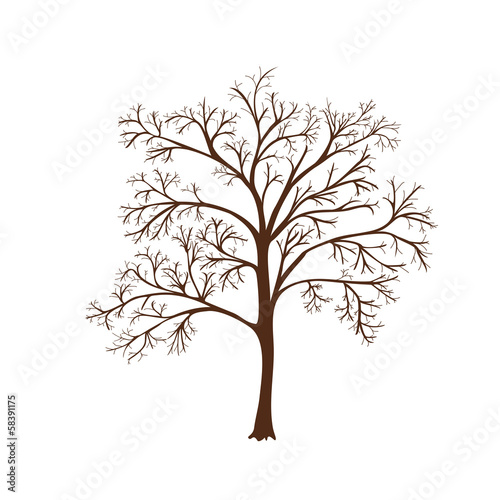 icon silhouette of a tree with no leaves © mtzsv