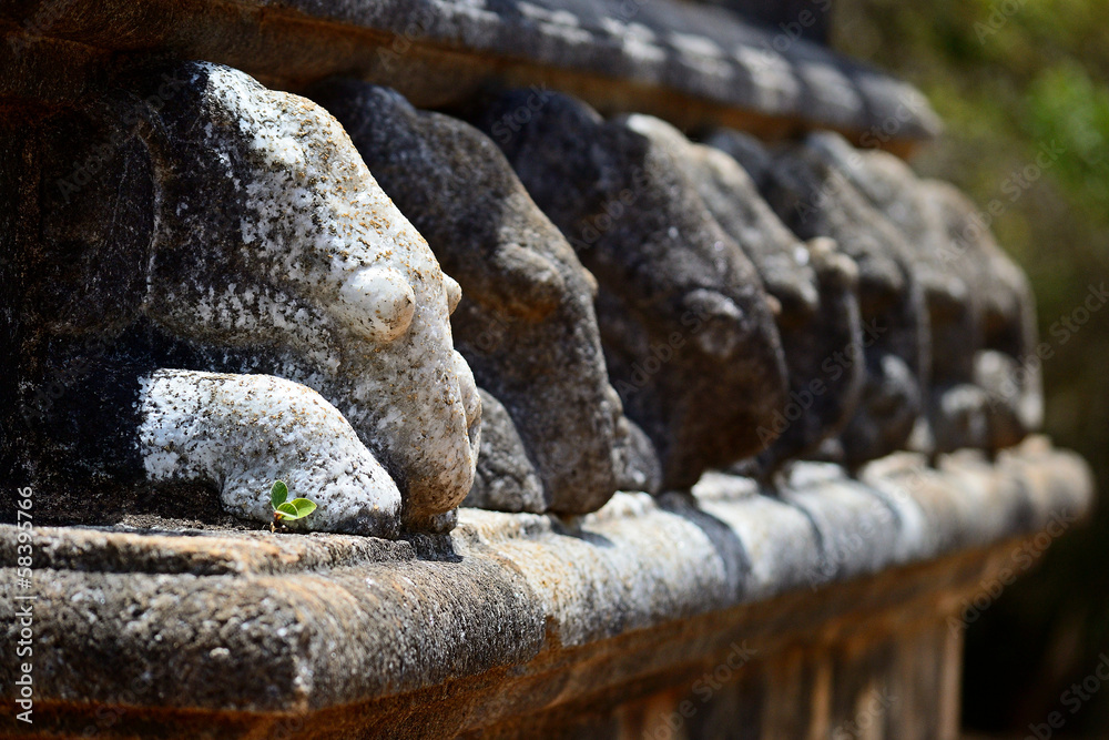 Detail selective focus of elephant shape carved stone at Kanta Detail selective focus of elephant shape carved stone at Kanta